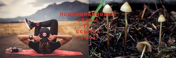 дживик Лихославль