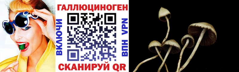 Псилоцибиновые грибы мицелий  mega рабочий сайт  Болотное 